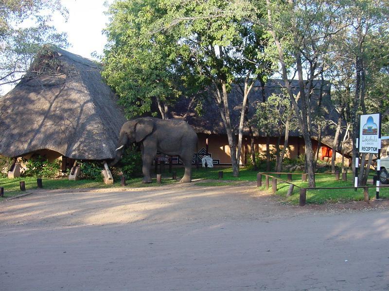 Lokuthula Lodge Victoria Falls Ngoại thất bức ảnh